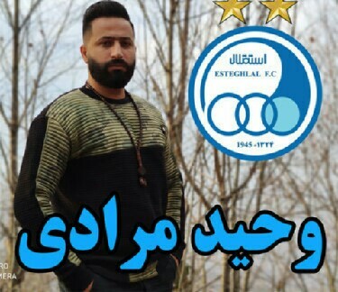 وحید مرادی استقلال